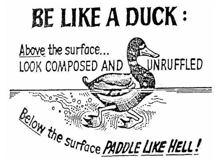 Paddle like a duck